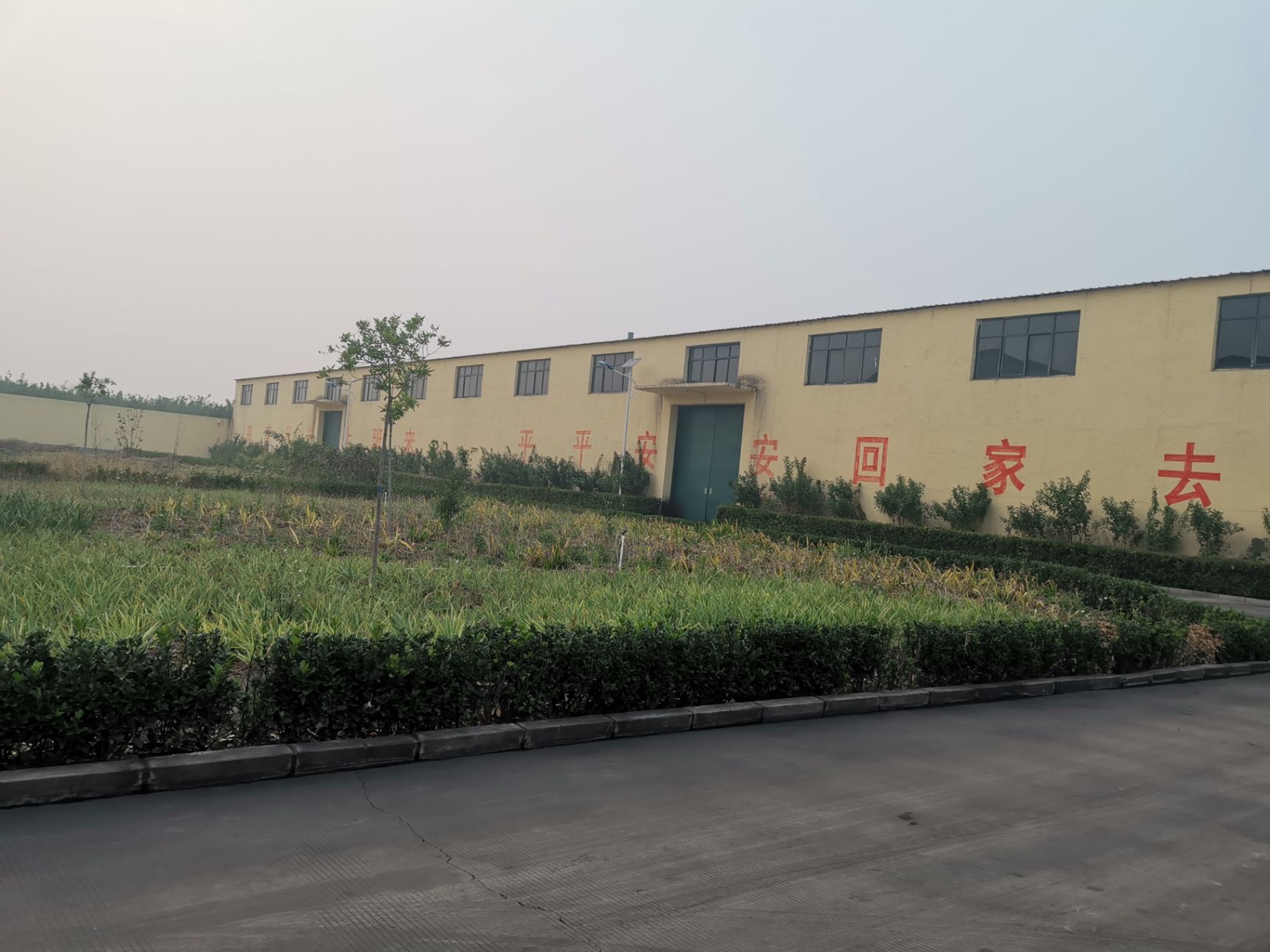  大豆有机肥 香油渣 豆柏