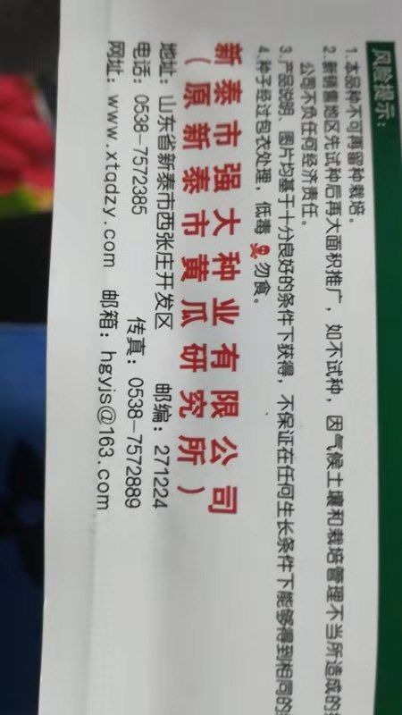 淄博强大黄瓜种子 常规种（原种） ≥99%