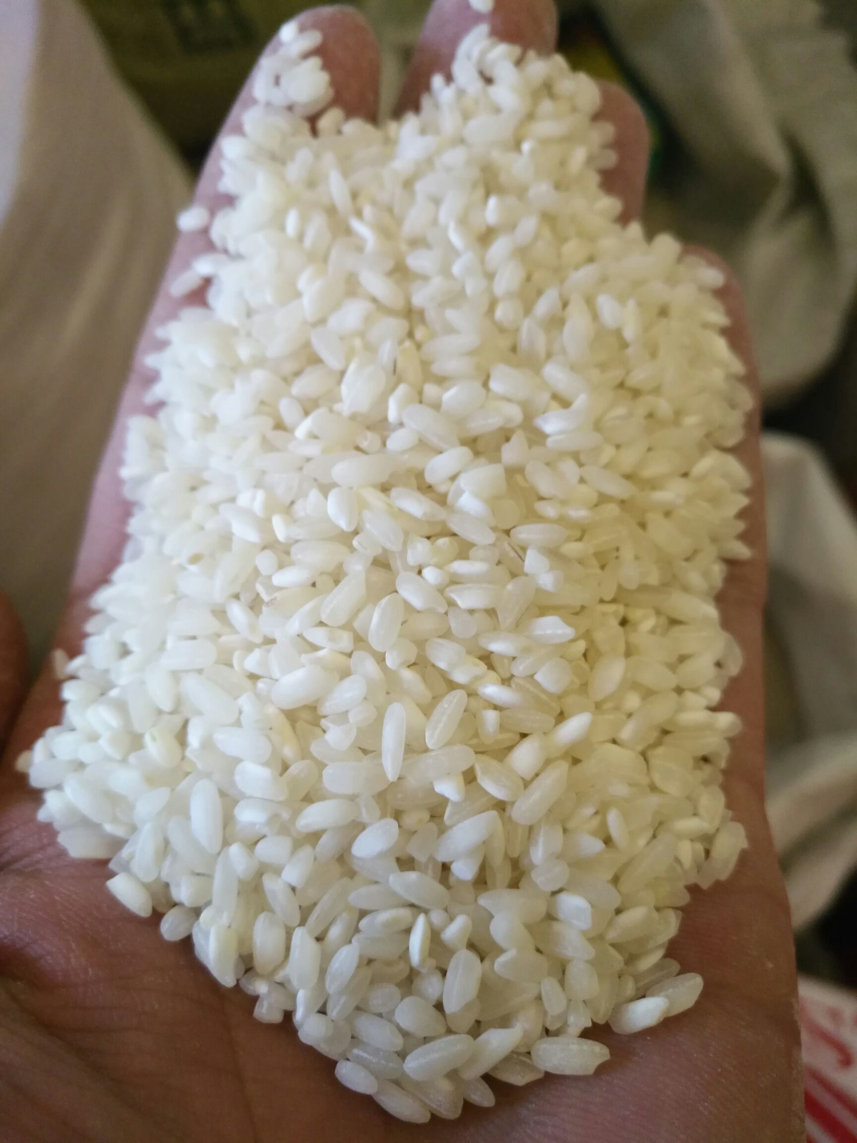 [大米批发]桂朝大米 桂朝米贵潮米价格22元/斤 