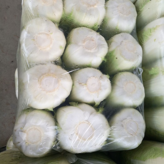 北京新3号  大白菜常年供应出售，品质一流，货源充足！全国发