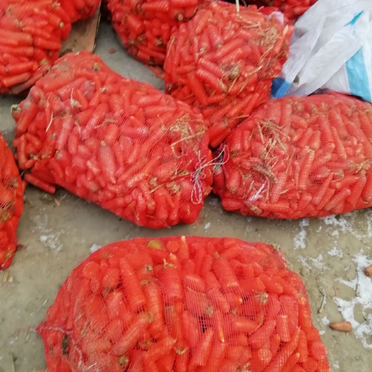 通许县胡萝卜渣 牛 羊