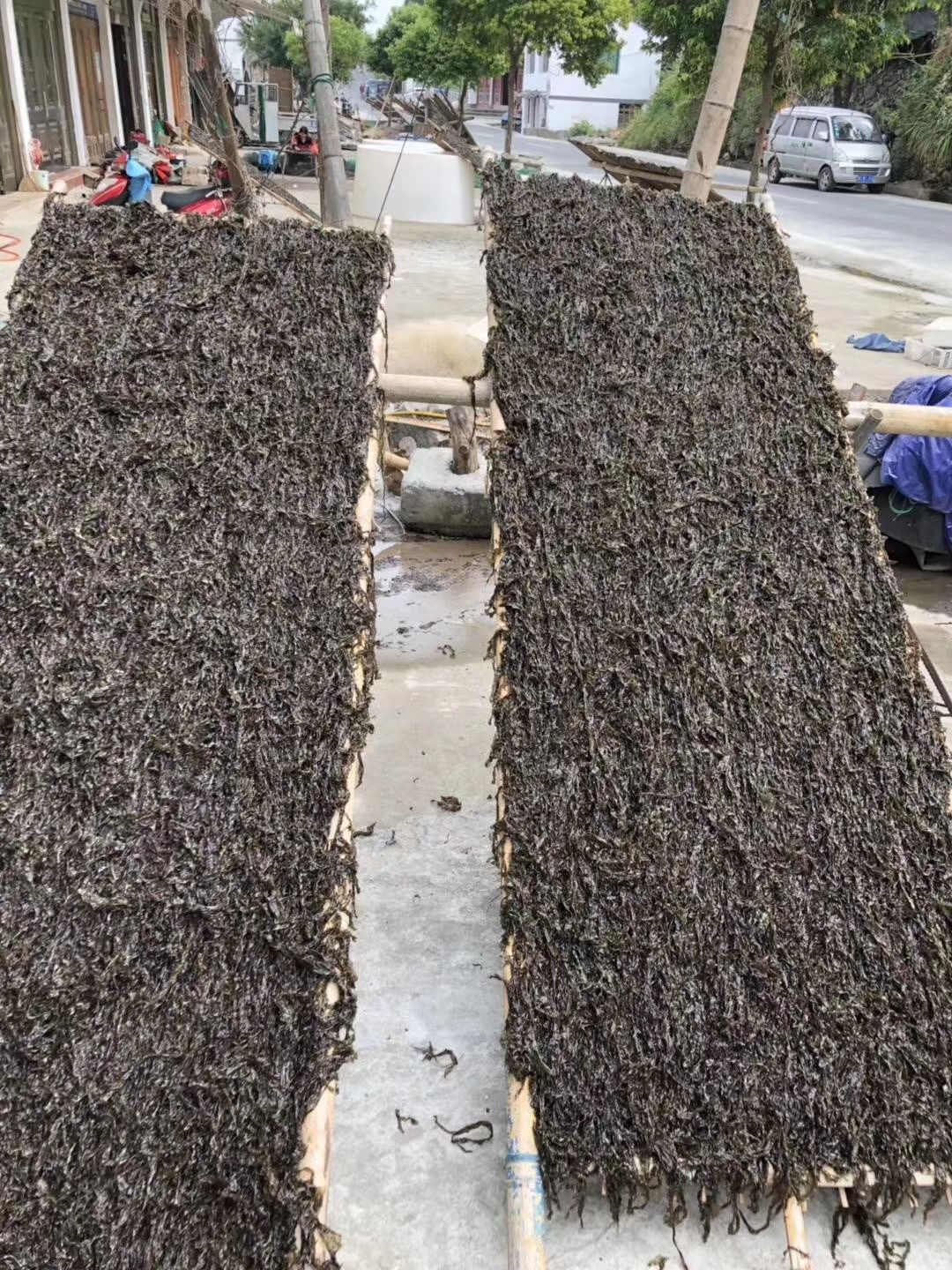  苍南头水紫菜，纯手工晾晒，天然美味