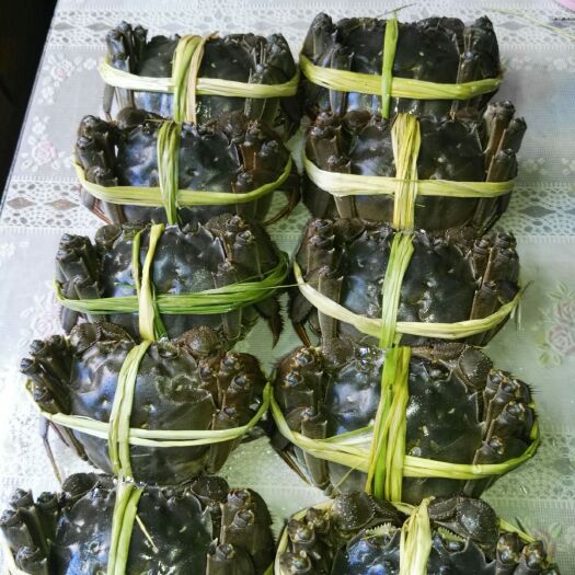 宜兴市宜兴太湖大闸蟹 统货