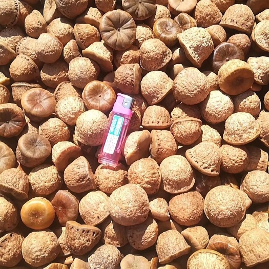 南宁风流果产地直供   量大优惠