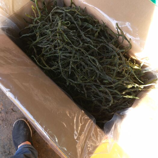 莘县干豆角  新货架豆王！脱水架豆！