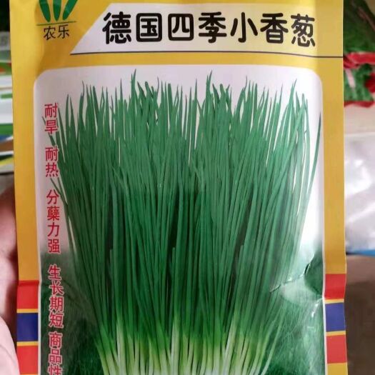 郑州 德国四季小香葱种子 耐旱耐热分蘖能力强品质优生长期短50克