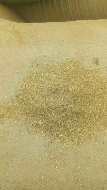 唐河县禽畜用饲料  花生秧细粉，无土无膜无霉变，2020新货