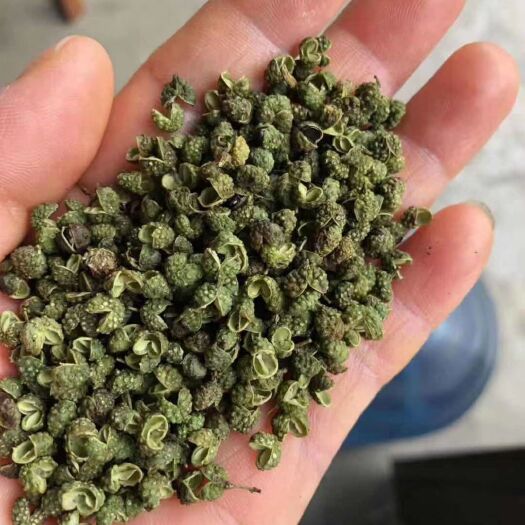重庆市 精品青花椒去枝去籽

青花椒(精品)




精品青花椒