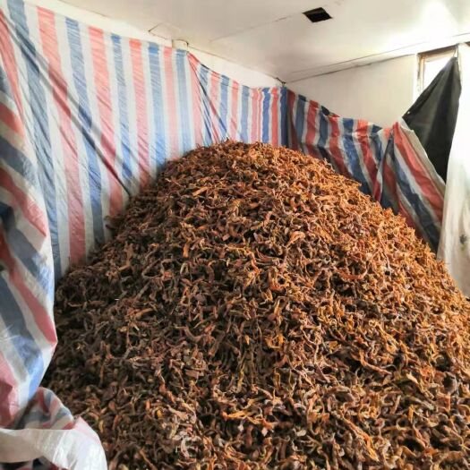 桐梓县 正宗方竹笋干正宗绿色食品产地直销不含认何添加剂产于原史森林