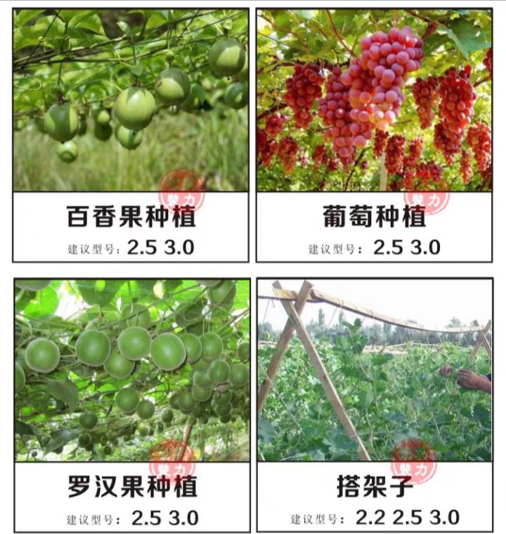  塑钢线大棚线压膜线高强度养殖丝拉线葡萄百香果棚架网大棚压膜
