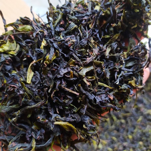 惠来县乌龙茶  高山茶潮汕八仙茶惠来土山茶八仙茶心高山茶八仙土山茶