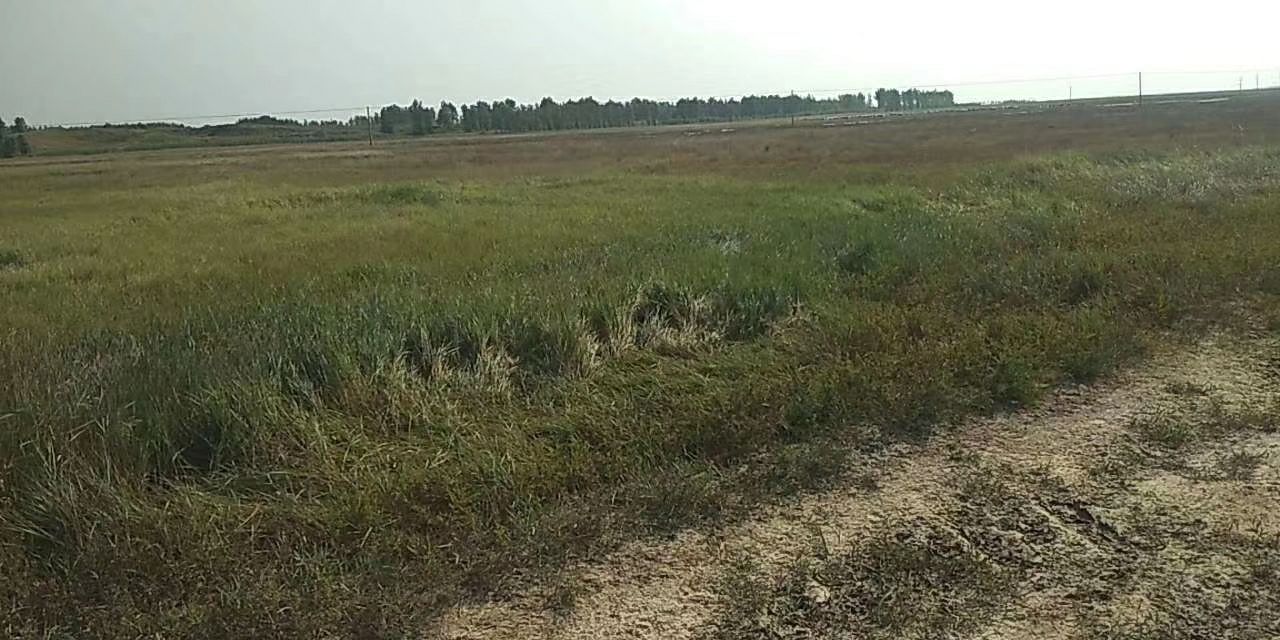 荒地  可建设性