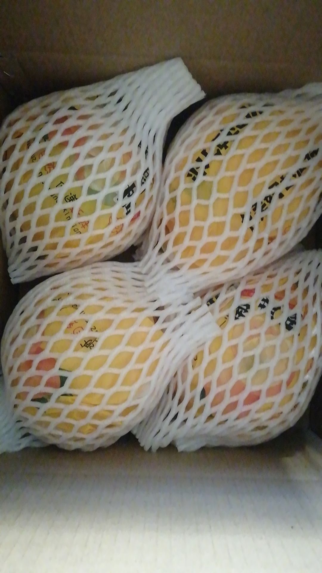 葡萄柚  原产地供应品质保证一件代发批发