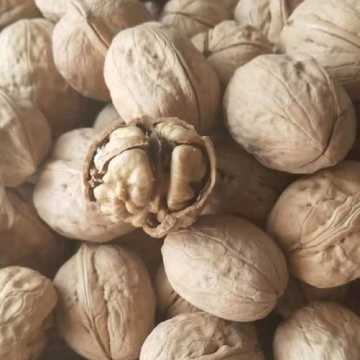 蚌埠 薄皮核桃。2019新货