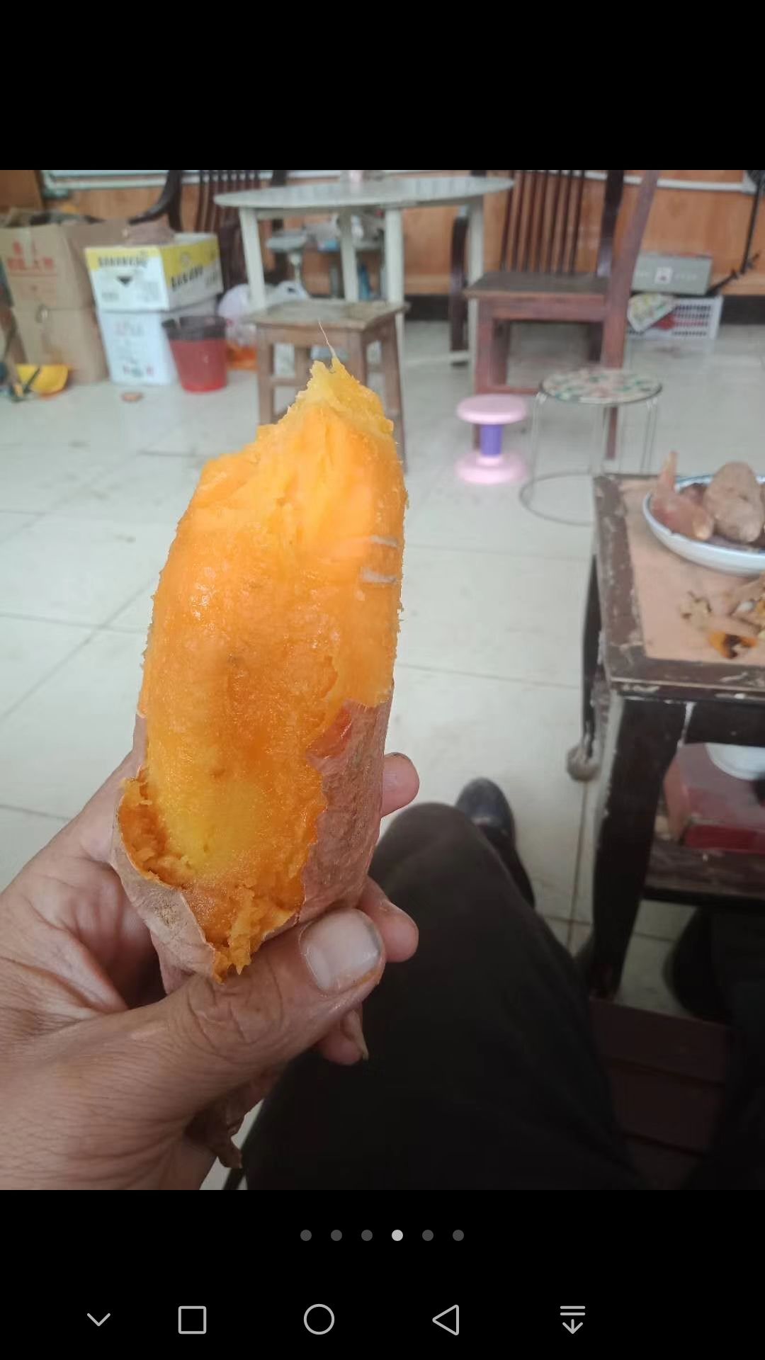 春红薯 西瓜红，蜜薯，精品量大，欢迎实地看货