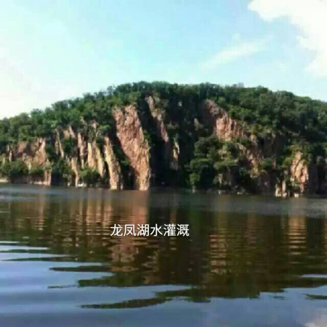 五常大米稻花香2号粥米，宝宝粥米，老少皆宜，健康美味！