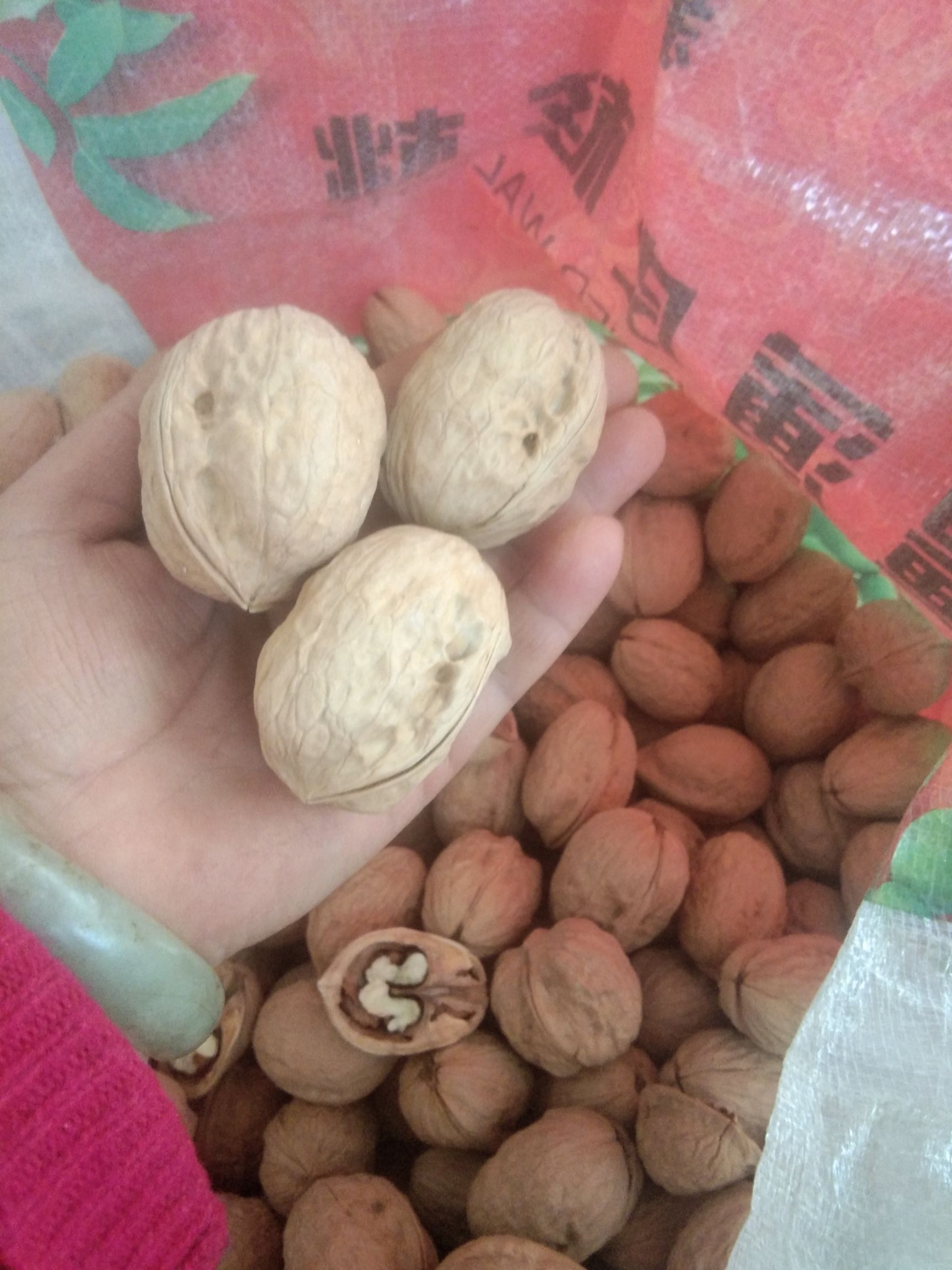  名称:一棵树核桃，个大肉香，营养丰富，滋补上品