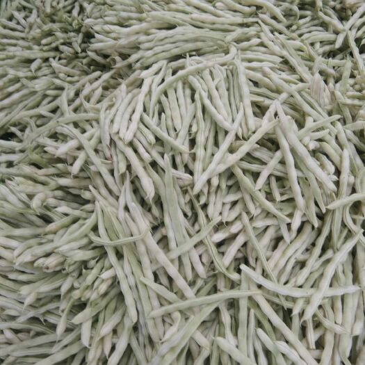 泰安大量代收芸豆