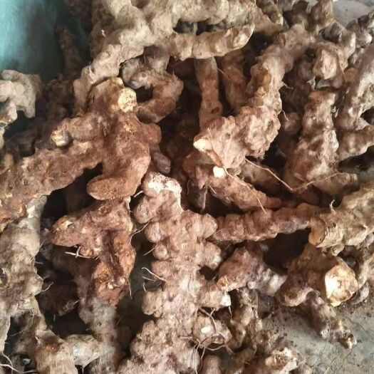 江城县土茯苓鲜货