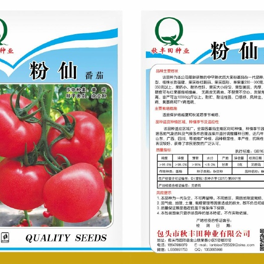 固阳县硬粉番茄种子  粉仙   硬粉抗TY番茄
