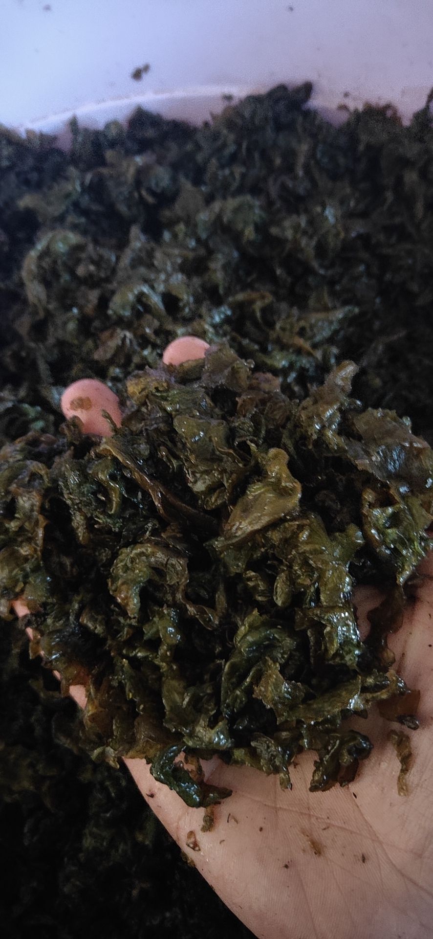地皮菜 土少，易清洗，泡发率高。口感甚好