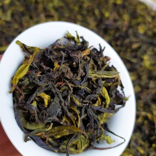 惠来县高山茶潮汕土山茶诏安八仙茶潮汕惠来高山茶土山茶浓香型1斤装