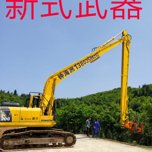 龙南市 大量10公分左右红果冬青红皮榕树等苗木欢迎各界朋友联系钟海洲