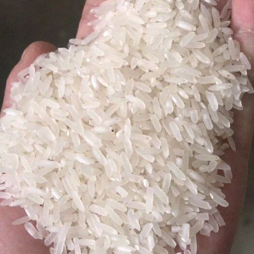 泰来县碎米 二等品 一季稻 粳米