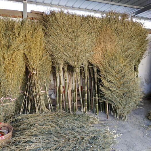 虞城县扫把  金枝竹  环卫  户外  耐用  手工 5斤半左右