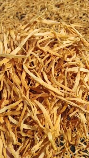 祁东县祁东黄花菜新货冲量优惠18.4包邮黄条摆摊跑江湖旅游区