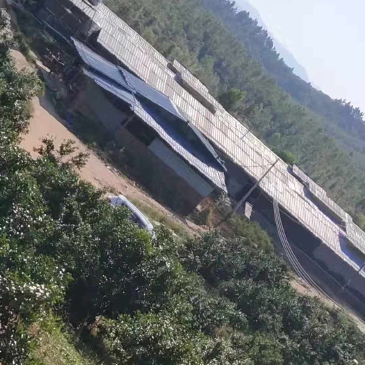 东源县 新鲜鹌鹑蛋产地直销。