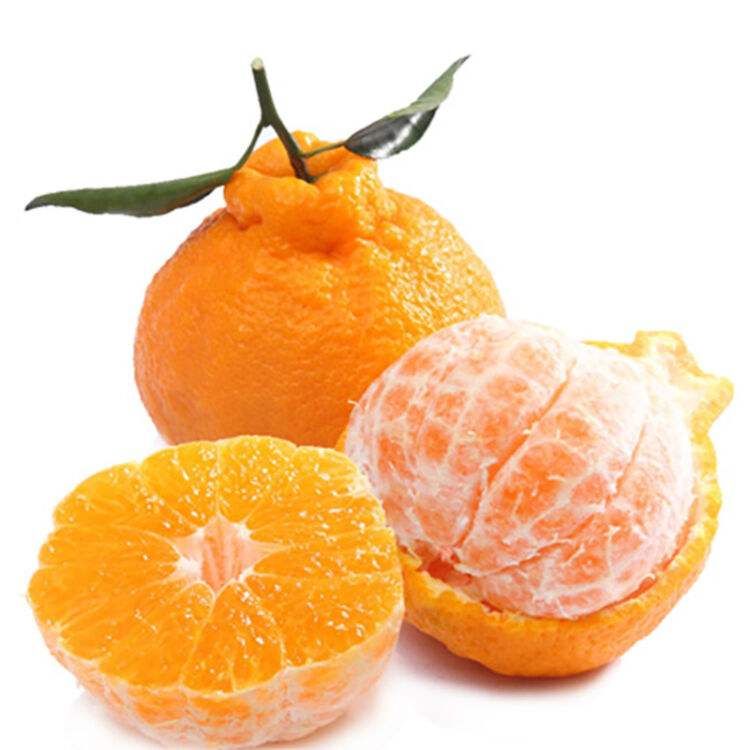 不知火  丑柑