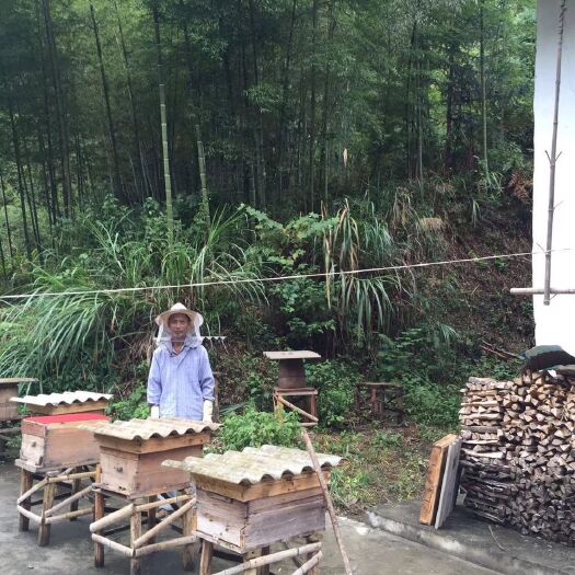 宁国市 深山农家土蜂蜜