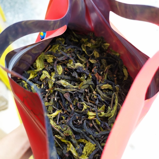 惠来县乌龙茶  高山茶心潮汕高山茶惠来八仙茶叶惠来土山茶诏安八仙茶
