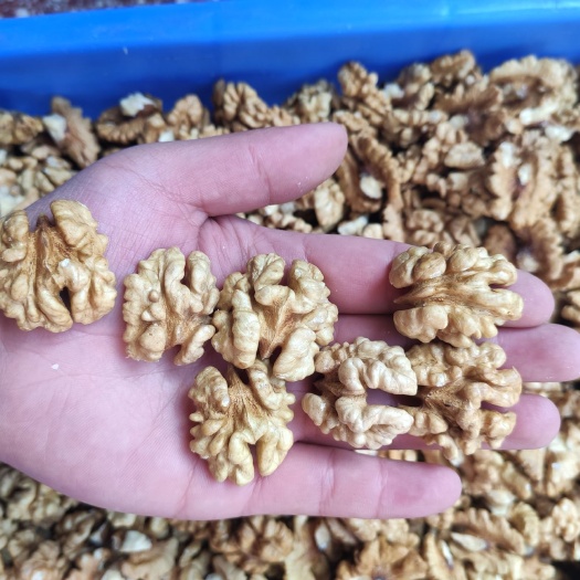 洛南县 核桃仁，新2和185，大量供应。