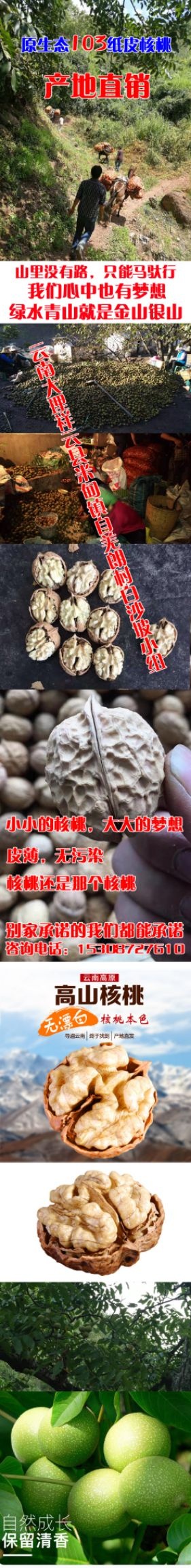 祥云县 云南大理祥云天然绿色无污染高山103薄皮核桃，俗称纸皮核桃