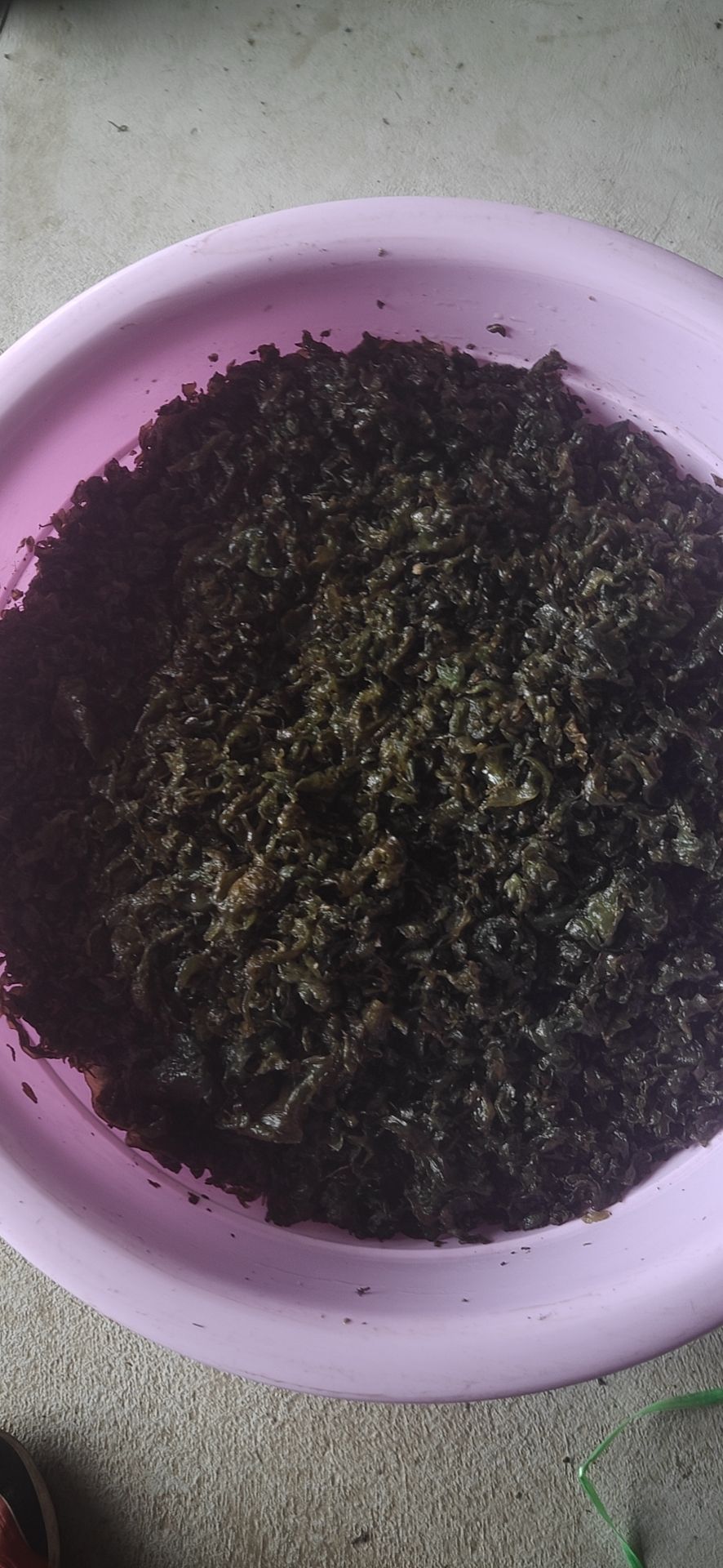 地皮菜 土少，易清洗，泡发率高。口感甚好