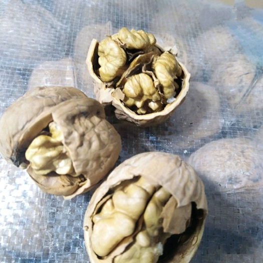 吕梁山核桃 口感好，质量好，颗粒饱满。
具有丰富的蛋白质，矿物质。