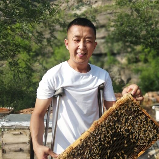 佳县枣花蜜  佳县葭州惠民有限公司枣花蜂蜜