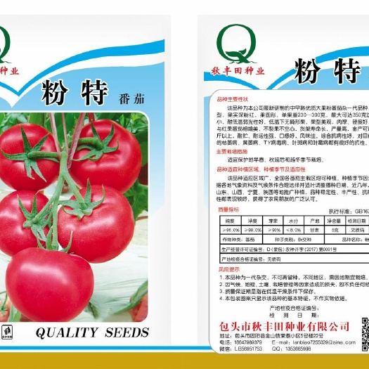 固阳县硬粉番茄种子  粉特