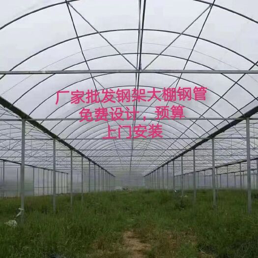 宿迁 专业搭建连栋棚，花卉大棚，果树棚葡萄棚等，大棚钢管批发