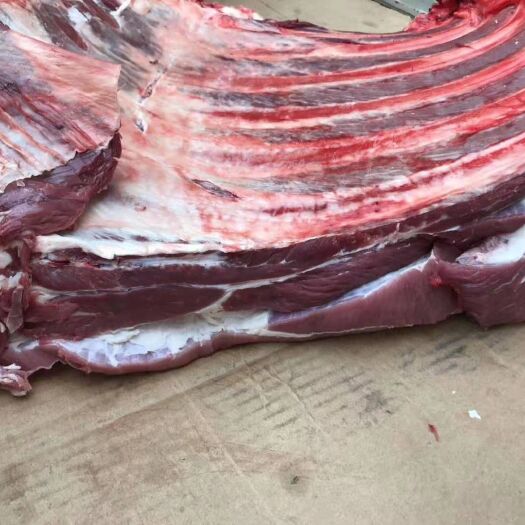 阳信县鲜冻的 多肉牛排。量大优惠