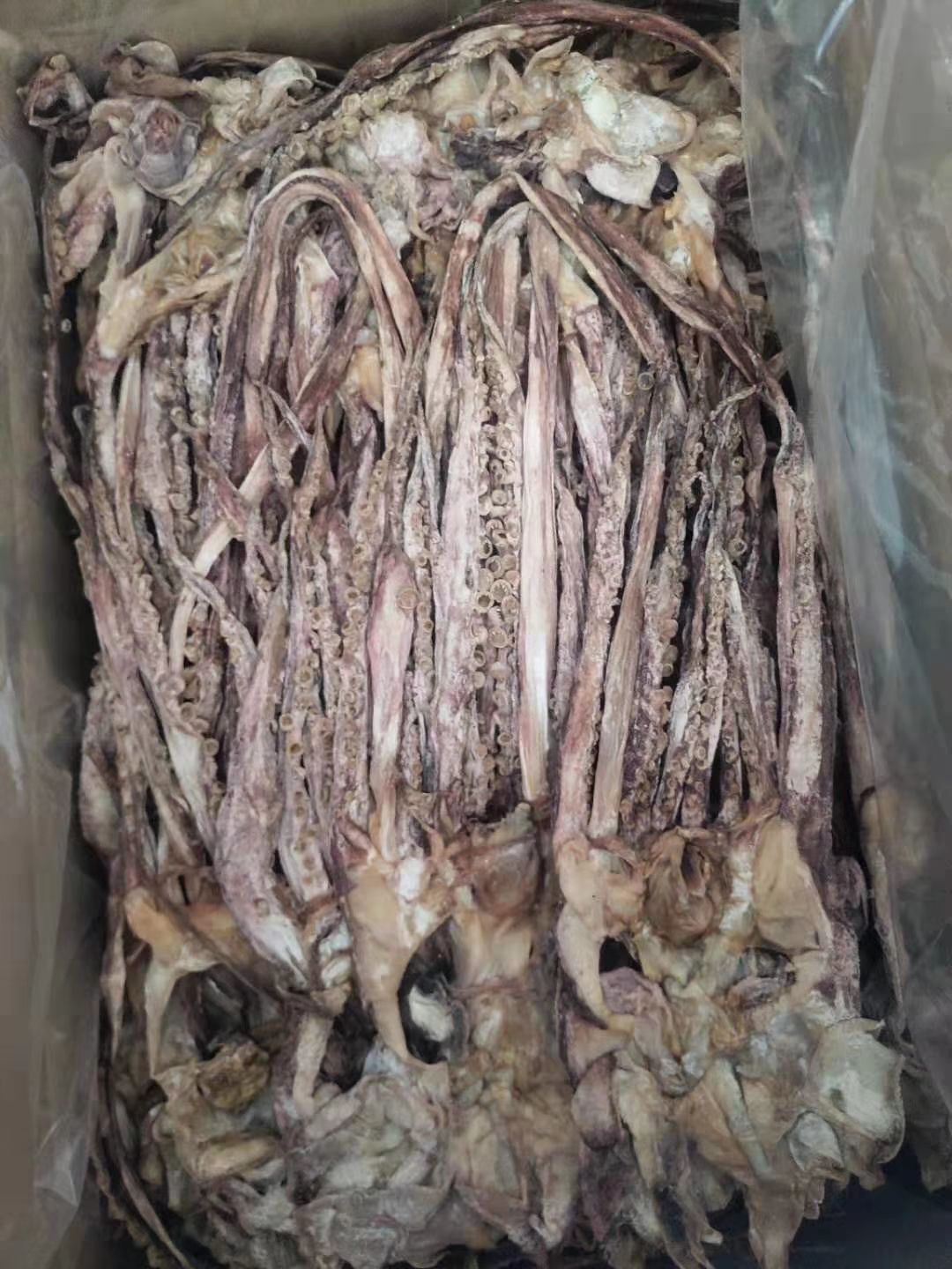 东海鱿鱼  鱿鱼干鱿鱼头颈微咸的