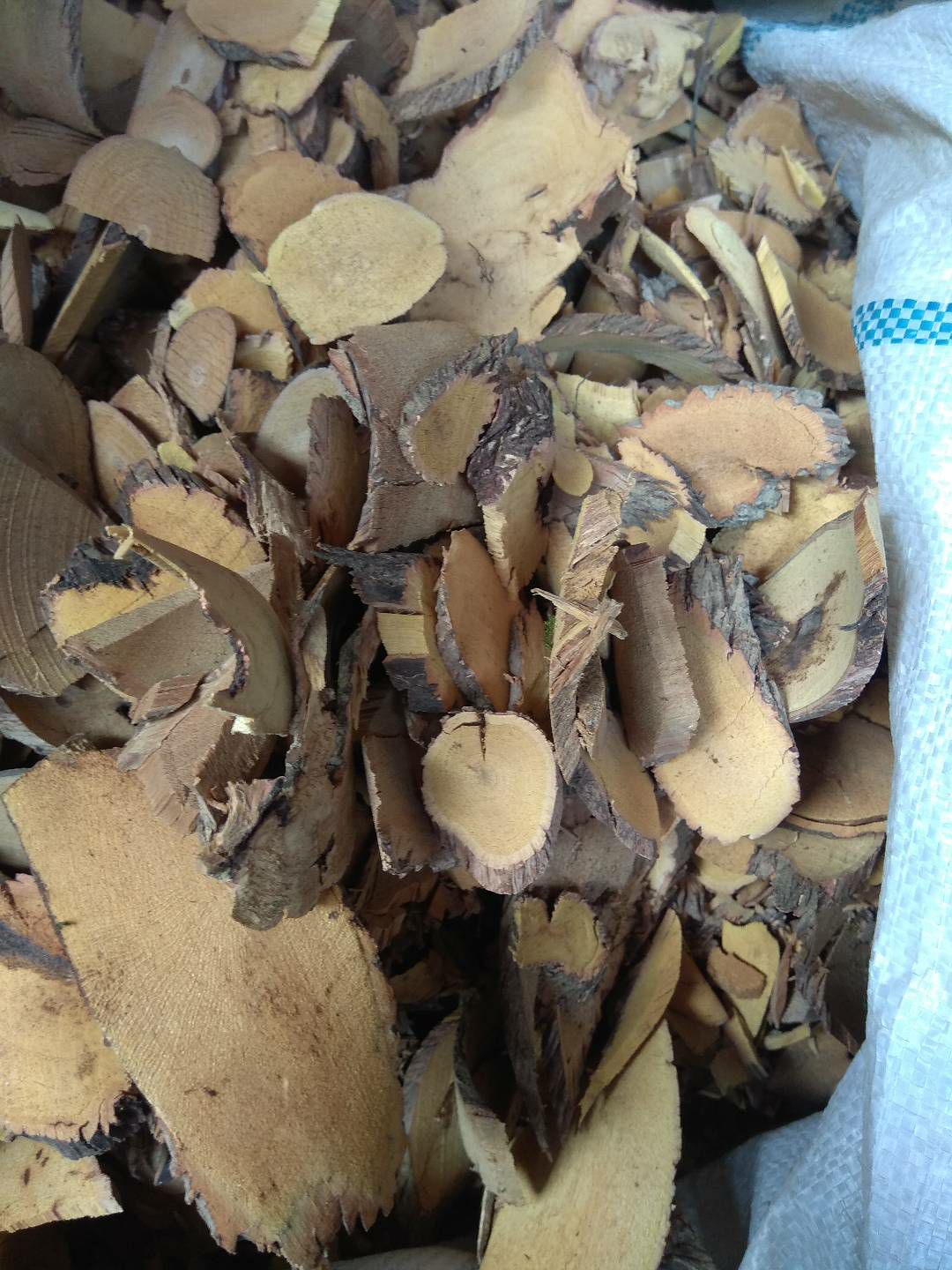  铁包金，老鼠藤根