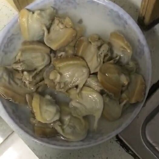 含山县冷冻蚌肉 蚌肉河蚌肉