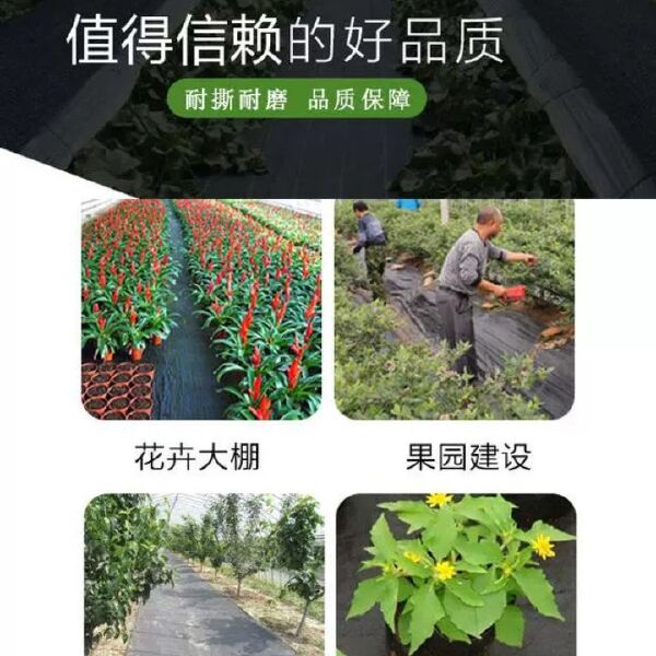 防草布果树农用黑色园艺地膜pe盖草布果园防草遮草耐用除草布