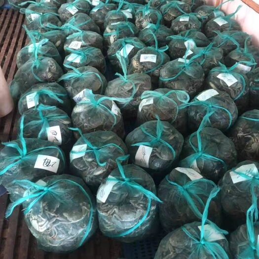 无锡微山湖大闸蟹 统货