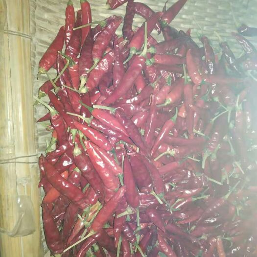 周口朝天椒干辣椒  自家种植凉晒手工挑捡价格合理（平台交易）