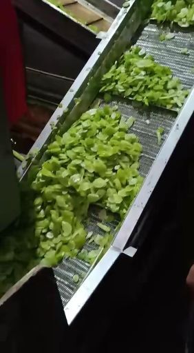 邳州市干莴笋  莴笋片，脱水莴笋，二级莴笋，
