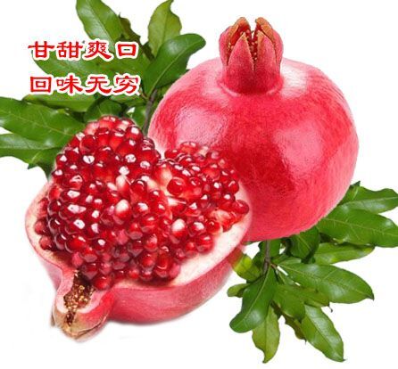 礼泉县 礼泉照陵甜石榴